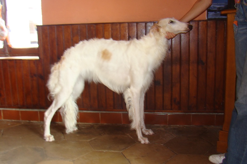 Calina Du Clos De Mickaloic